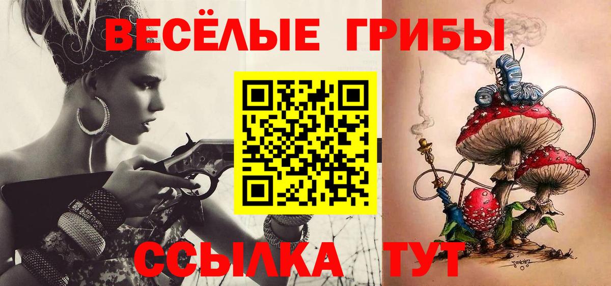 Галлюциногенные грибы MAGIC MUSHROOMS  Галлюциногенные грибы MAGIC MUSHROOMS  Вход с VPN  Саратов 